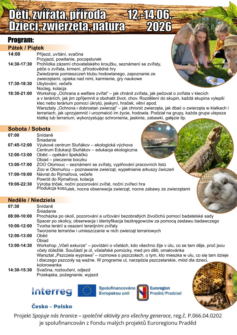program