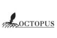 Logo octopus